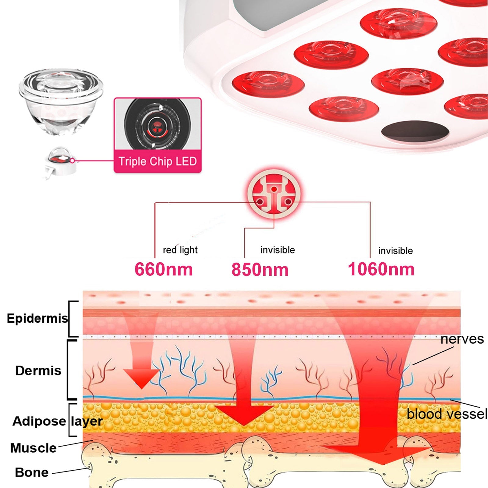 Portable Red Light Therapy- BO-60/3 Wavelengths(660/850/1060nm)