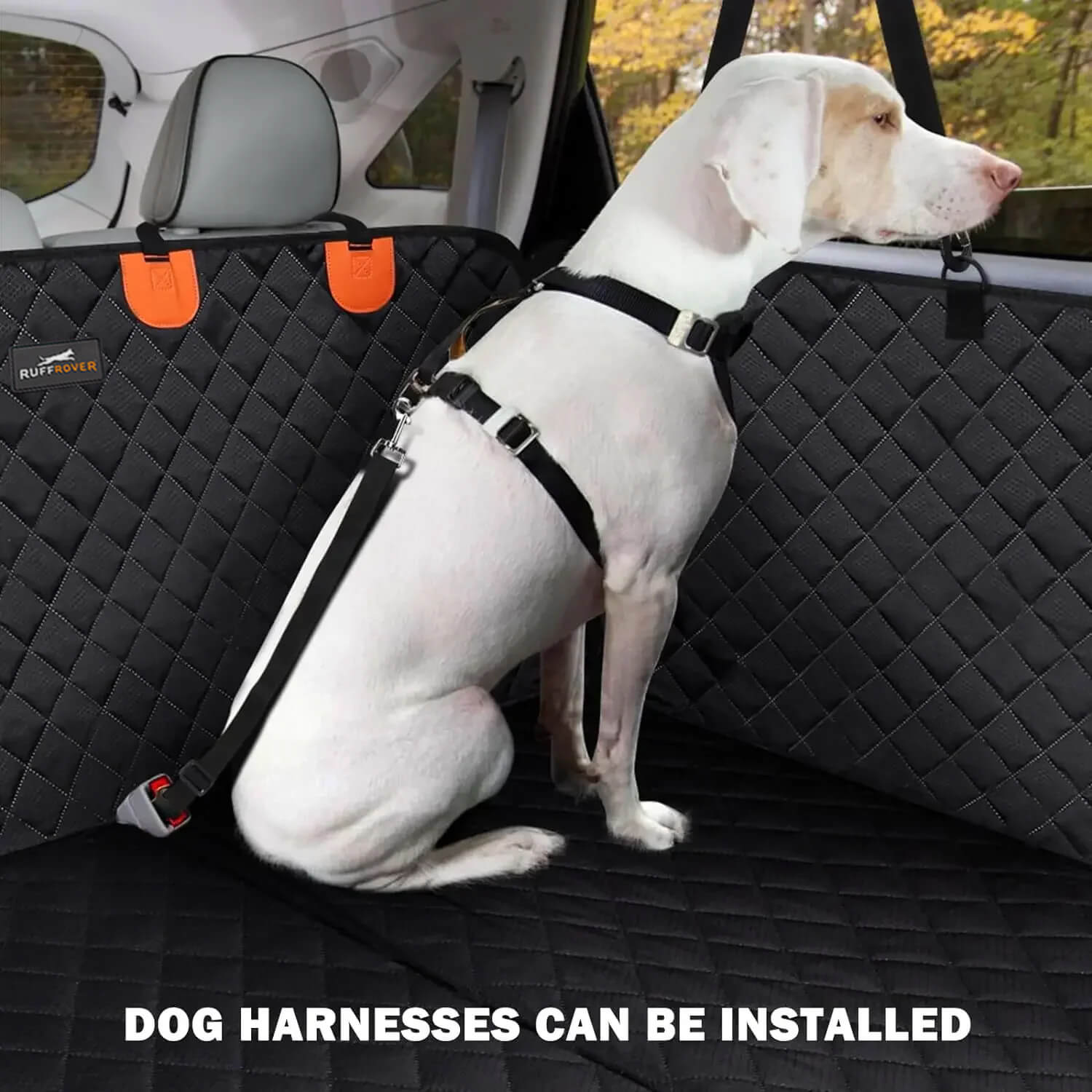 Hard Bottom Dog Car Seat Protector + (FREE Dog Bed)