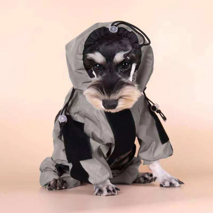 Reflective Waterproof Dog Coat for All Seasons