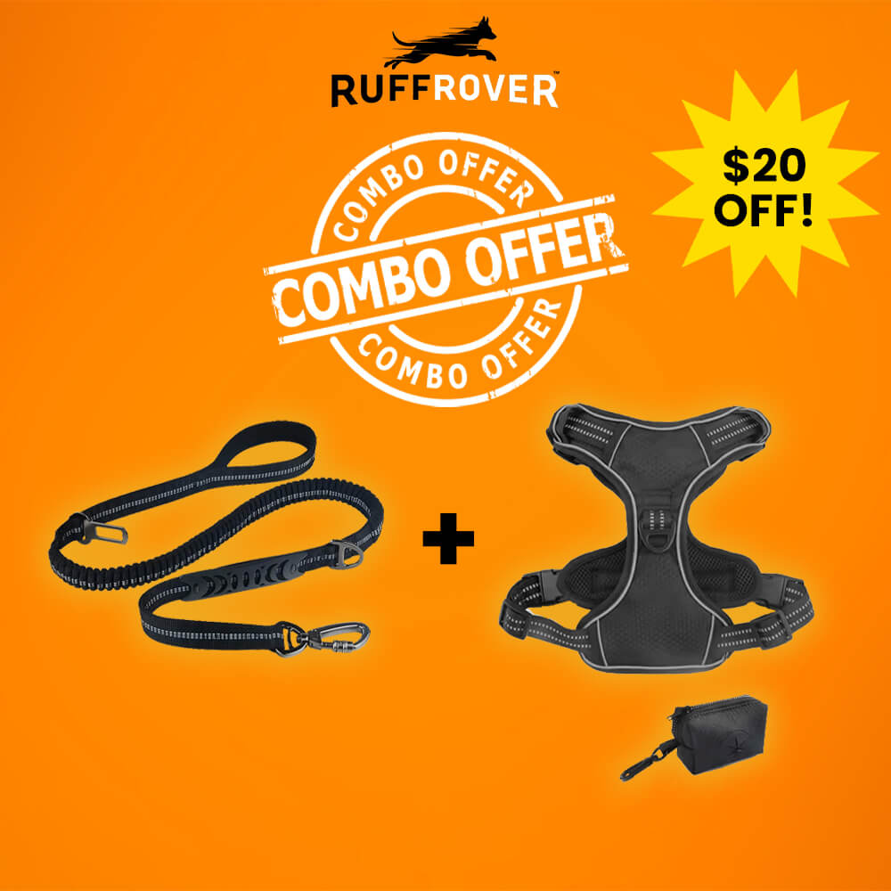 The Ultimate Leash & Harness Combo