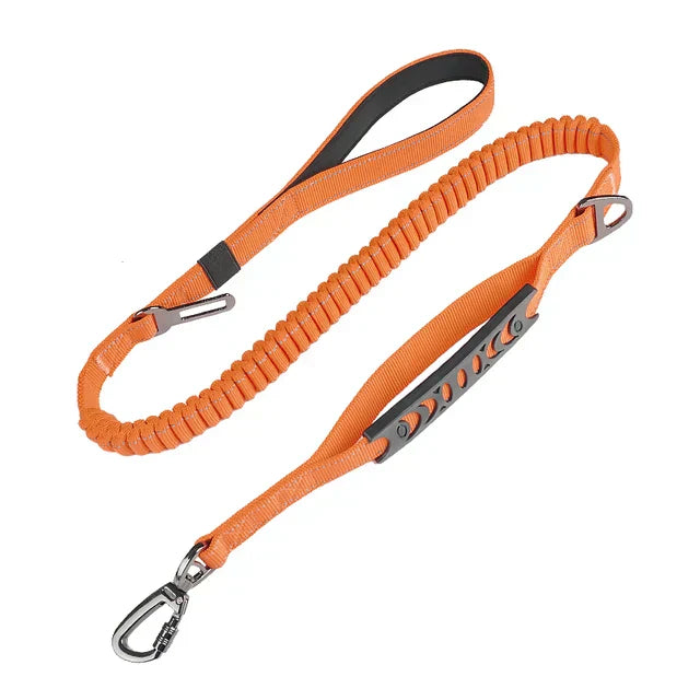 The Ultimate Leash & Harness Combo