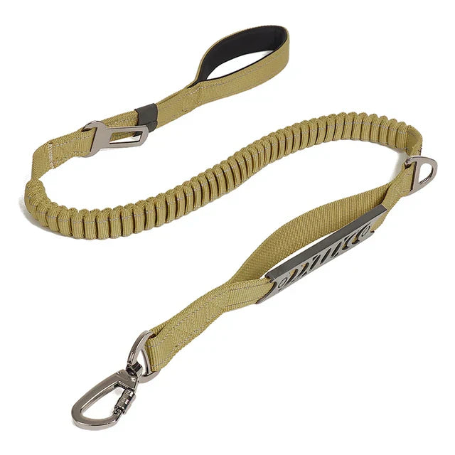 The Ultimate Leash & Harness Combo