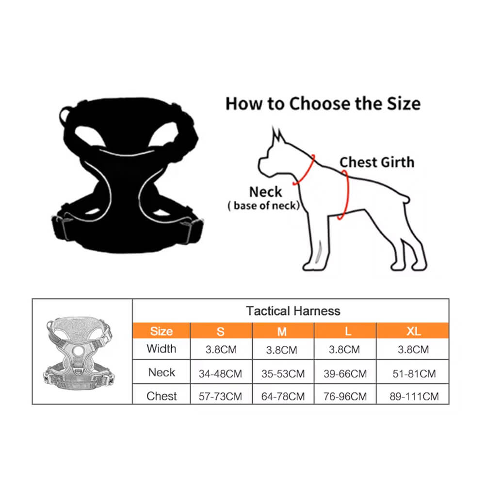 The Ultimate Leash & Harness Combo