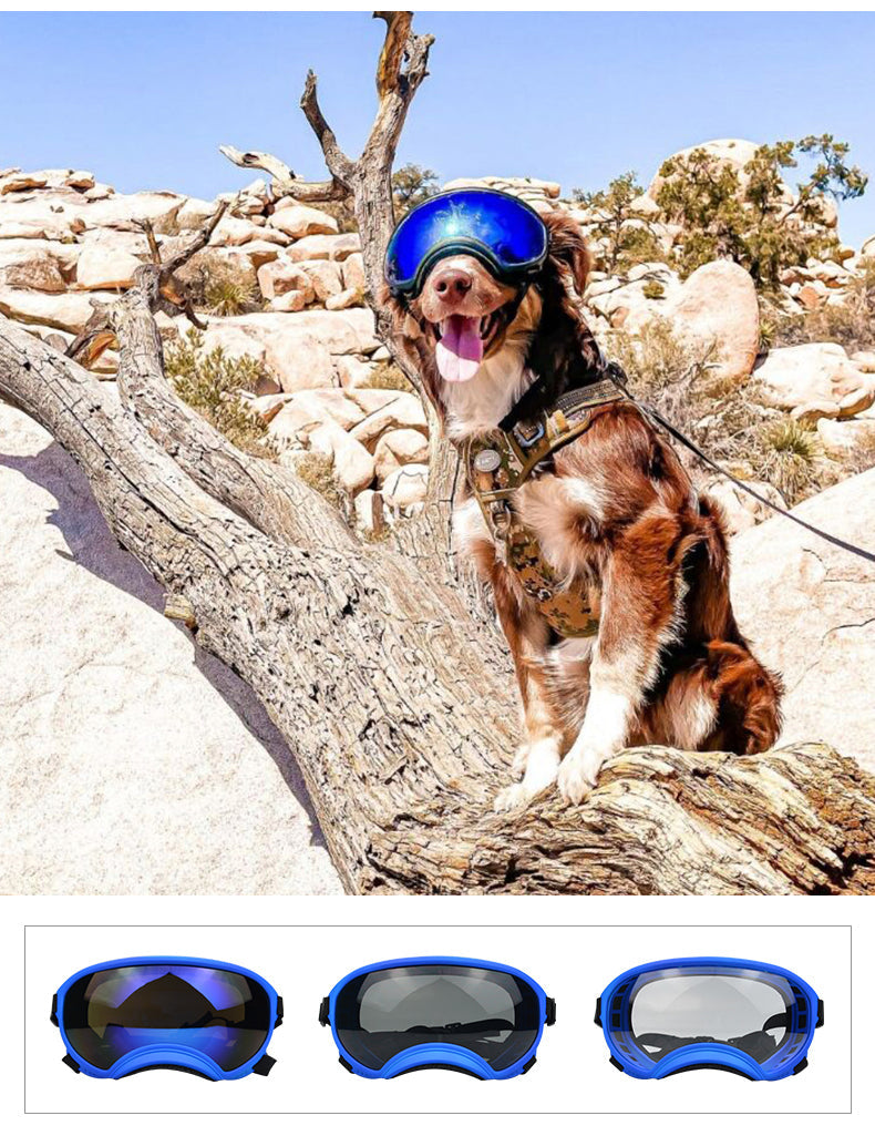 Doggy Goggies