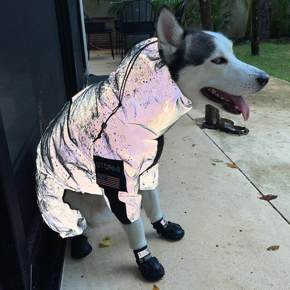 Reflective Waterproof Dog Coat for All Seasons