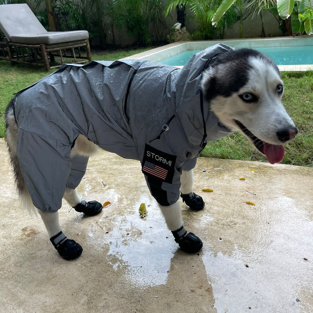 Reflective Waterproof Dog Coat for All Seasons