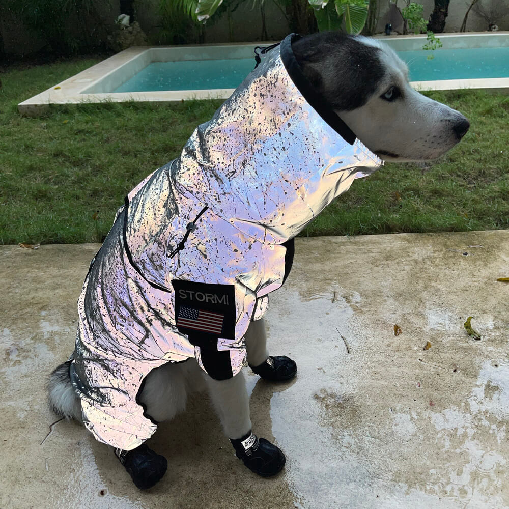 Reflective Waterproof Dog Coat for All Seasons