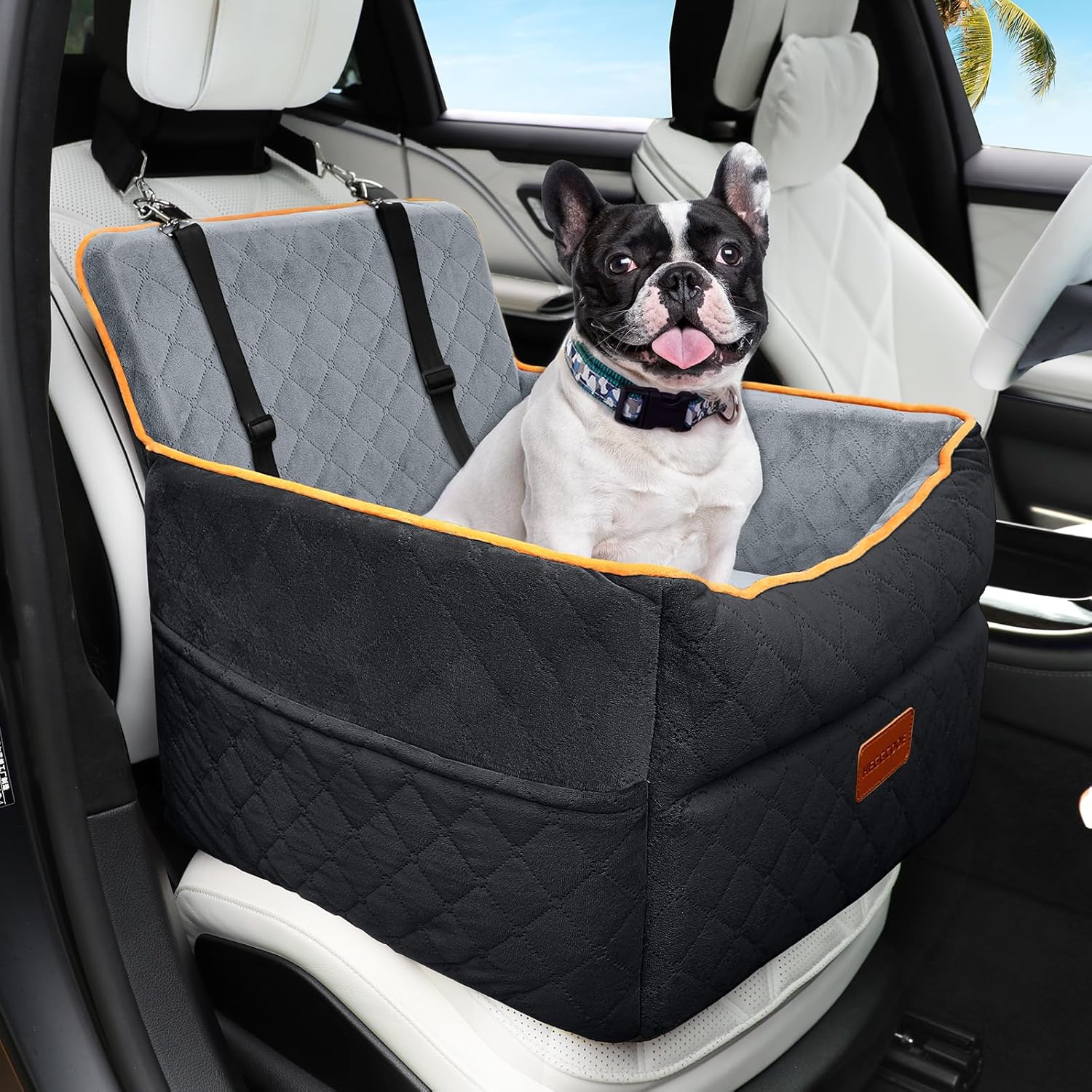 Small Dog Car Seat, Memory Foam Dog Booster Car Seats with Thick Cushion for Medium Dogs Under 35lbs, Detachable Washable Dog Bed for Car, Pet Carseat with Storage Pockets,2 Safety Belts