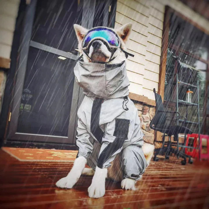 Reflective Waterproof Dog Coat for All Seasons