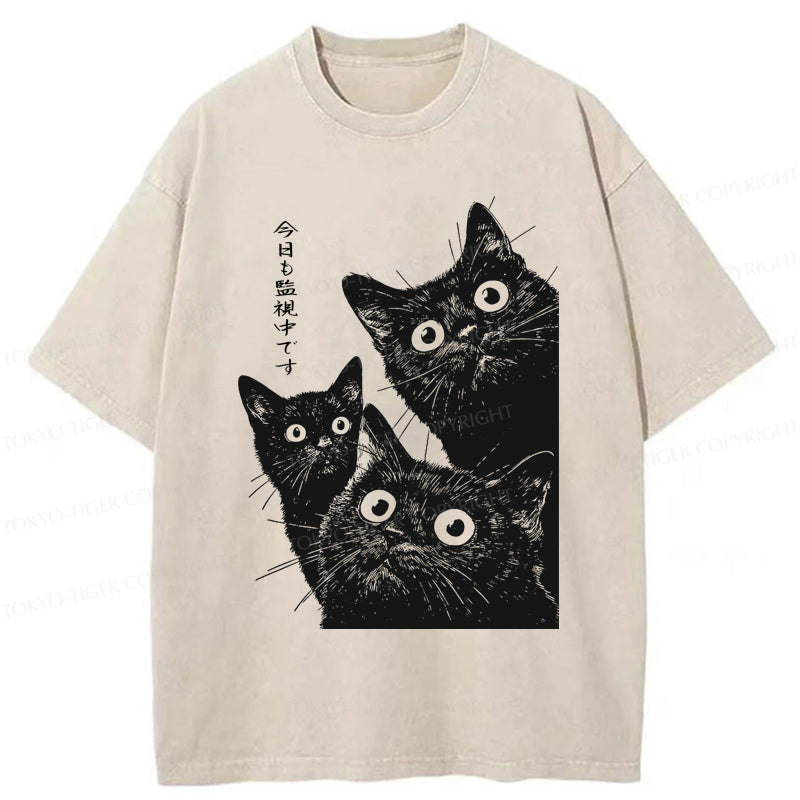 Tokyo-Tiger Three Cats Are Watching You Today Washed T-Shirt