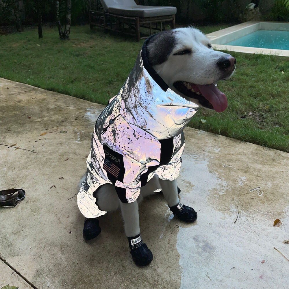 Reflective Waterproof Dog Coat for All Seasons